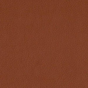 Экокожа Ecotex 3012